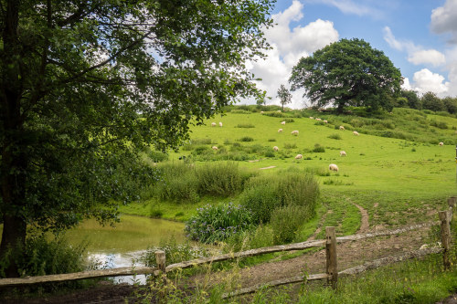 allthingseurope:Winchelsea, England  Winchelsea is on the southern coast of England in East Sussex