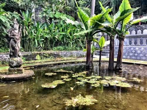 Saraswati at Tirta Gangga pond, Bali