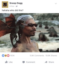 stefanctw:  snoop targaryen