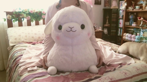 chocoboko:  A plushie so big you can actually porn pictures