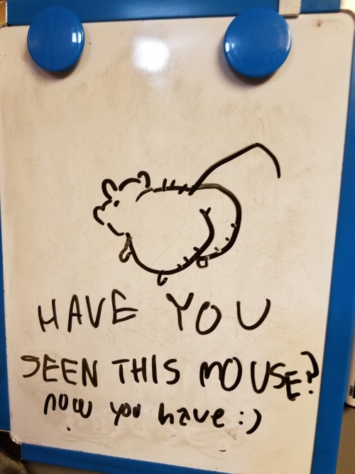 phillip-bankss:theres a mouse in the house and it&rsquo;s really little but it