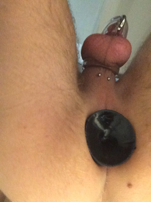 sportsjock:Today I locked frankkkieee in his new CB3000. I love the sight of his dick pressing in it, with his Prince Albert piercing jammed in it. It’s a real improvement to his old metal cage.   I’m not sure how long I’m going to leave him like