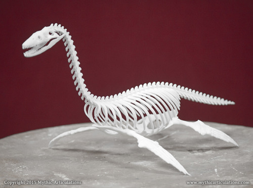 It took far longer to get around to this than it should have, but the Loch Ness Monster skeleton is 