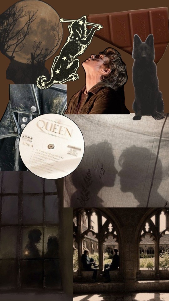 Im Obsessed With Pinterests Collage Feature So Naturally I Used It To Make Mood Boards For The Marauders