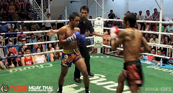 head-kick:  mma-gifs:  Tiger Muay Thai Top 10 Knockouts #3  Fuck man, the attacker looks ridiculously tired 