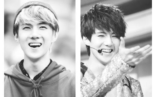 exoplushie-deactivated20141116:  Exo x smile ↳ Sehun 