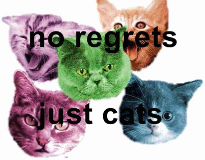justacatblog:  No regrets. Just cats. 