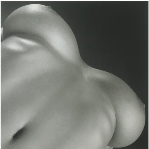 gacougnol:Robert MapplethorpeBreasts 1987