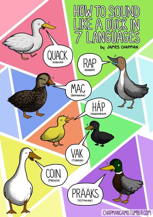 lbardugo:  chainsandshipsexciteme:  memrise:  James Chapman’s animal sounds illustrations