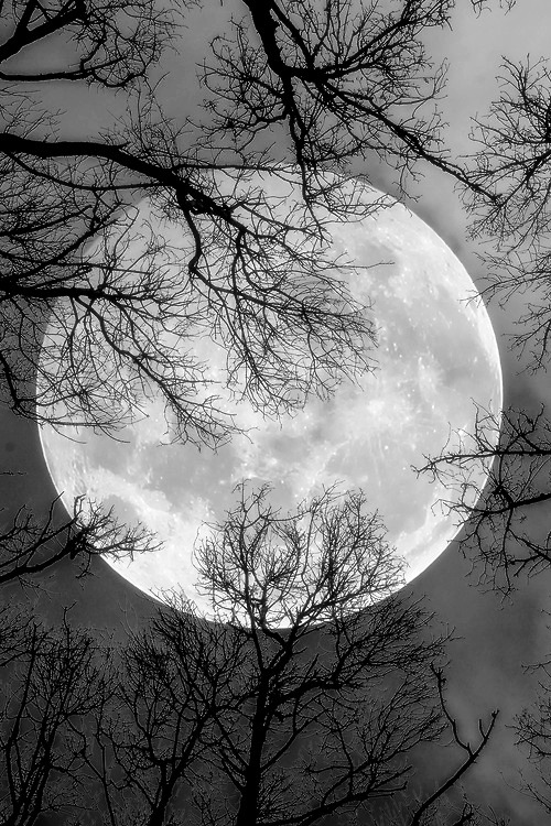deceivemenomore:  Beautiful moon. It’s so full…
