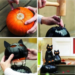 witcheswizardsleapinlizards:  Click for how —-&gt; Black Cat-O-Lanterns 