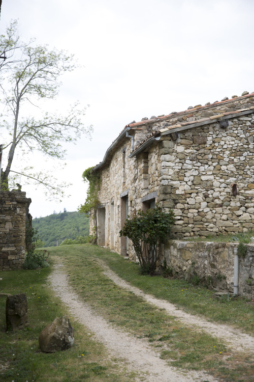 fawndeviney:Viens, Provence | Fawn DeViney 