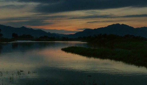 ciniphile: Landscapes - The Wailing (곡성) [dir. Na Hong-jin, 2016]. 