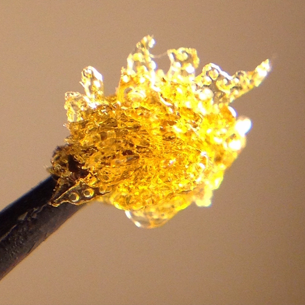 shine-my-way:  Phantom Og flower rosin made with love, making this stuff is so rewarding.