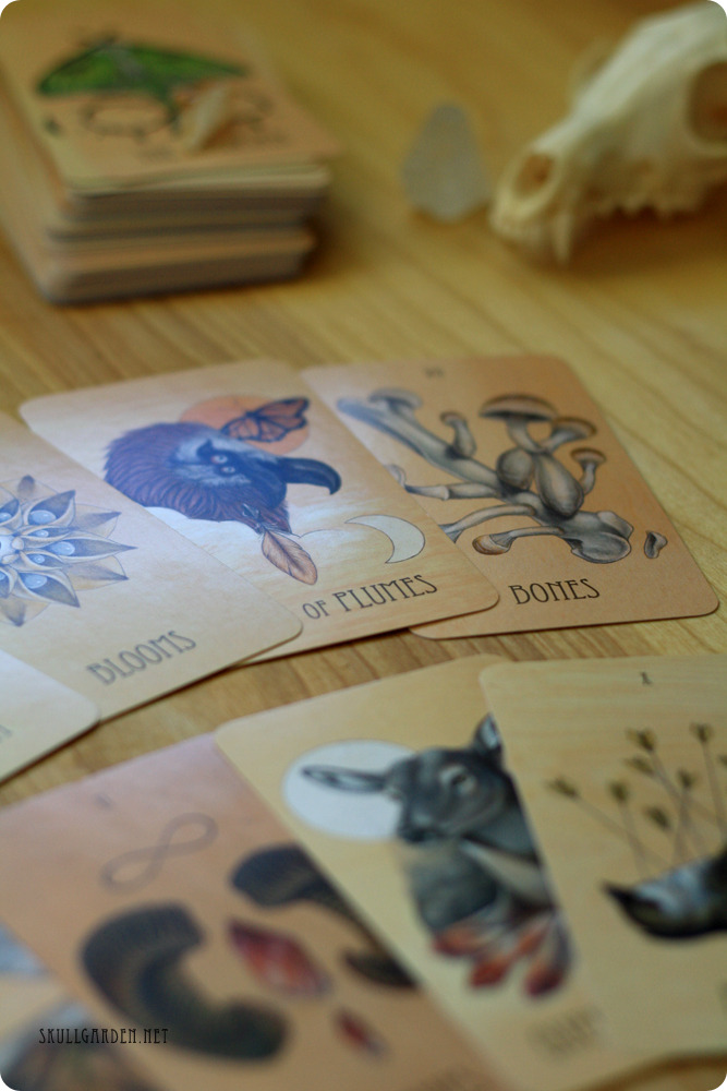 skullgarden:  ☽ THE WOODEN TAROT ☾  it&rsquo;s about that time for a self