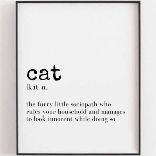 #catsofinstagram #cats #cats_of_instagram #catsagram #catscatscats #catsagram #catslover #catsfollowers #catsoftheday #catsrule #catsoftheworld #catsofworld #catsofig #catsofinsta #catsoninstagram #cats_of_the_world #catsuit #catsdaily #cats_today #catsrequest #catsofday #catsofinstagram #cats_of_instworld #cats_of_world https://www.instagram.com/1aymah/p/CYkhSYnpnAV/?utm_medium=tumblr #catsofinstagram#cats#cats_of_instagram#catsagram#catscatscats#catslover#catsfollowers#catsoftheday#catsrule#catsoftheworld#catsofworld#catsofig#catsofinsta#catsoninstagram#cats_of_the_world#catsuit#catsdaily#cats_today#catsrequest#catsofday#cats_of_instworld#cats_of_world
