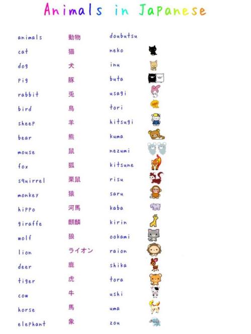 system-error-try-again: Learning Japanese cheat sheets  Source: misshoneyvanity on deviantART http:/