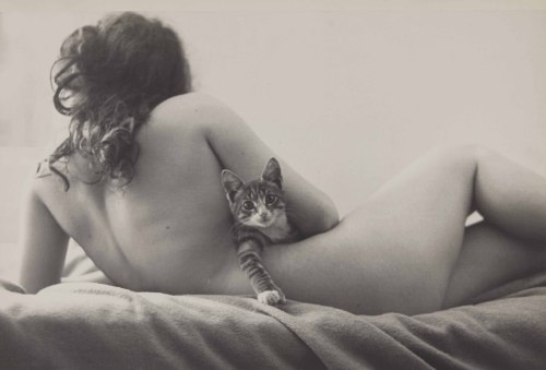 nobrashfestivity:Robert FrankNude (Marie) with Cat, 1950  