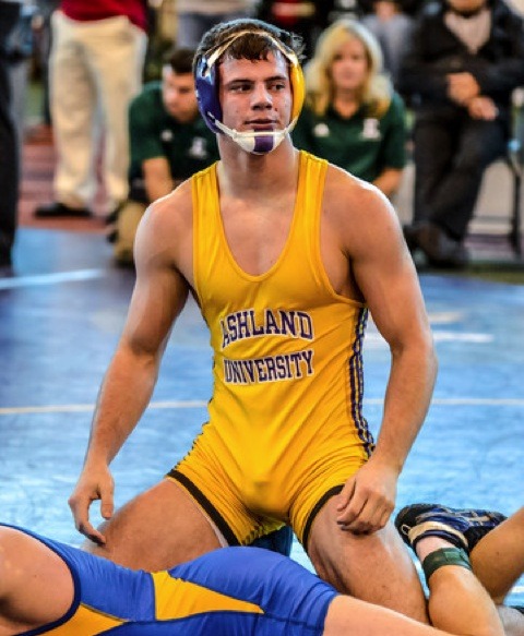 Just Bulge