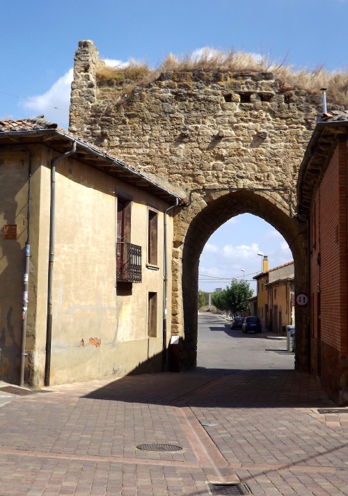 Residuo de la muralla y la puerta de la ciudad para la ruta a León, Mansilla de las Mulas, León, 201