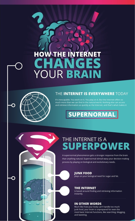americaninfographic:Internet Brain