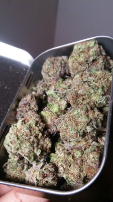 old-mother-sativa:  I’m obsessed with this weed! 