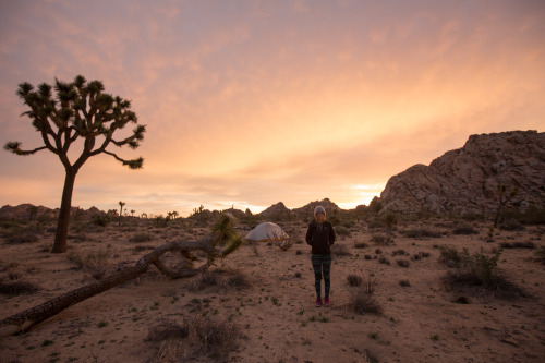 Joshua Tree National ParkWe backpacked during sunset and found a lovely spot to set-up camp. The fol