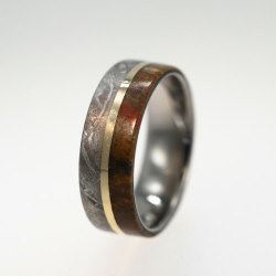 This Is A Ring Made From Dinosaur Bone, Gibeon And Lunar Meteorites And A  14K Gold