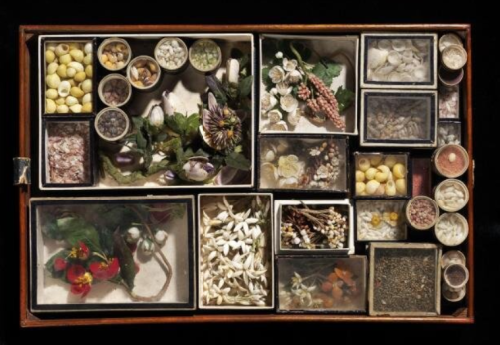 Box of shells and shellwork, circa 1800. 