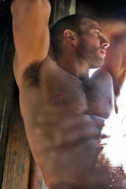 zimmerbrand:  hot4hairy: 