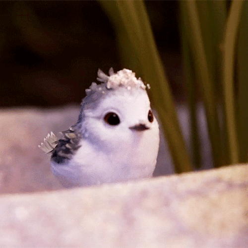 sebsbuckybarnes: Piper - Disney Pixar Short