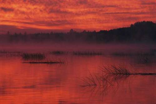 agelessphotography: Adirondack Mountains, New York, Maria Stenzel, 1996