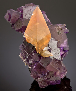 mineralists:  Gemmy golden Calcite on top of purple cubed Fluorite.  Gorgeously stunning specimen! From Denton Mine, Illinois