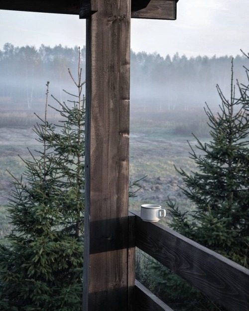 wild-cabins: Bogusia Mornings 