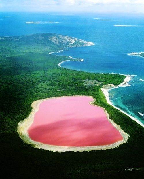 letswander-together:  Lake Hillier, Australia. The only naturally pink lake in the