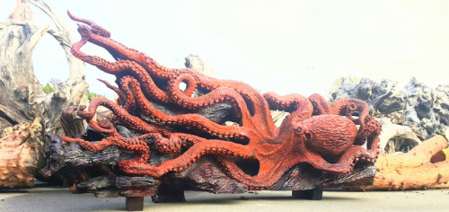 Impressive Giant Pacific Octopus, carved from a fallen RedwoodWoodcarver Jeffery Michael Samudosky h