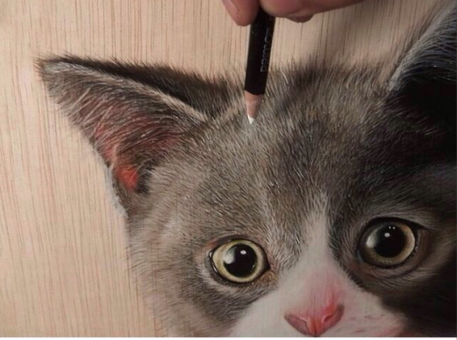 This Artist Creates the Most Realistic Animal Portraits We’ve Ever Seen