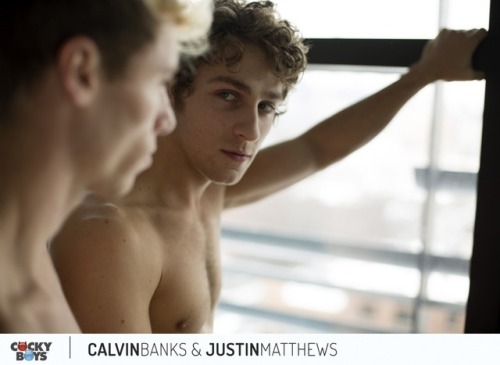nthgf:Calvin Banks and Justin Matthews (Cockyboys) adult photos