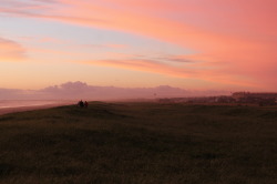 artgoghst:  Gearhart, Oregon 2014 by Claire Richards 