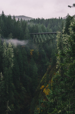 millivedder:  High Steel Bridge, Shelton