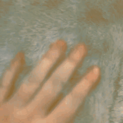 Luocha Stimboard With Soft Stims