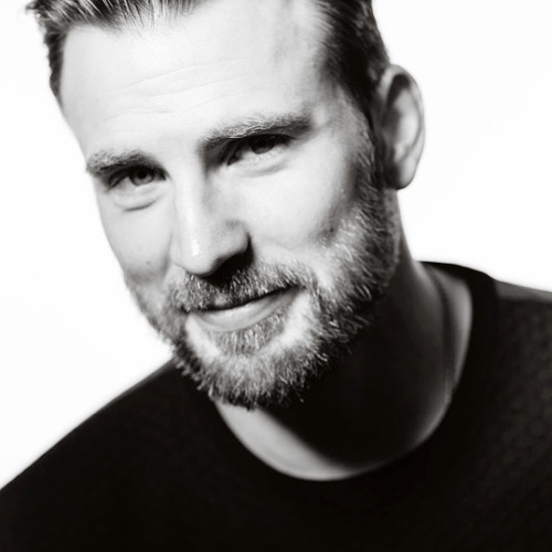 weheartchrisevans:  Chris Evans photographed in a portrait session for the 2014 Toronto International Film Festival. 