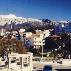 snow and palm tress in budva, montenegro