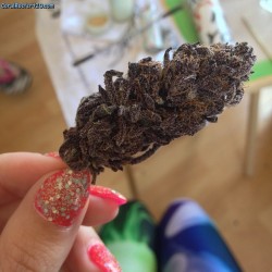 coralreefer420:  Hot damn @smokepurp420 this