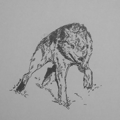 yaksh-art:  Day 11 of #Inktober2017Run I’d skipped day 11 as I couldn’t get some time to sketch  anything 