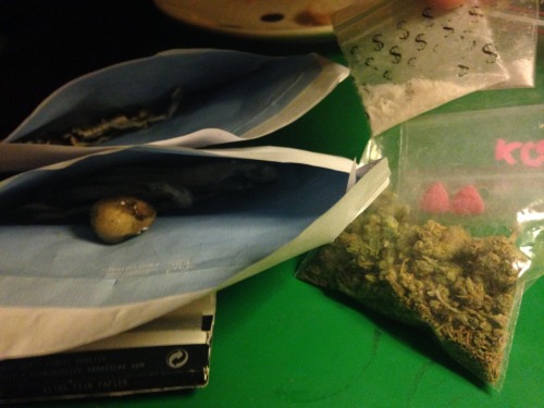 moviesmusicweed:  Yeh I’m ready for my festival tomorrow