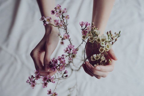hipster-aesthetics:  hipster blog 