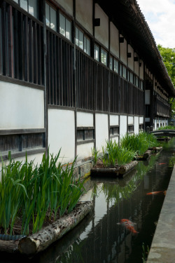 yuikki:   	Tsuwano by peaceful-jp-scenery