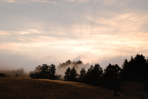 1,200 Mile Walk x Mt. Tam.Photographed by Codi Ann Thomsen.