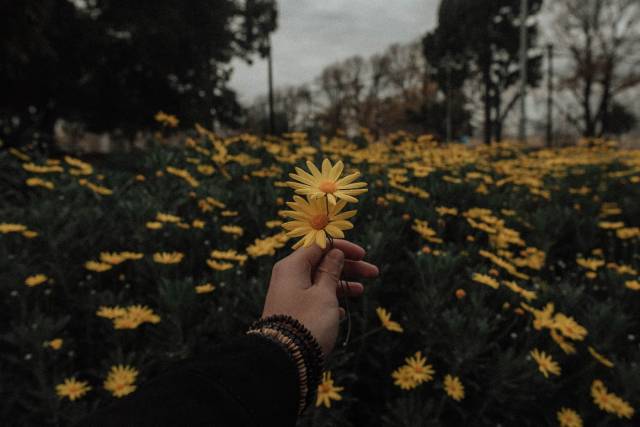 Faceless Aesthetic Explore Tumblr Posts And Blogs Tumgir